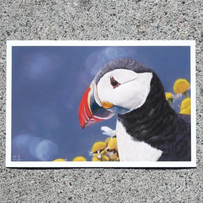 Giclée Print „Puffin“, 20x30 cm