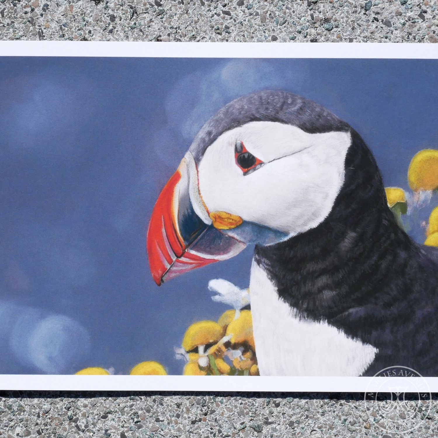 Giclée Print „Papageitaucher“, 20x30 cm
