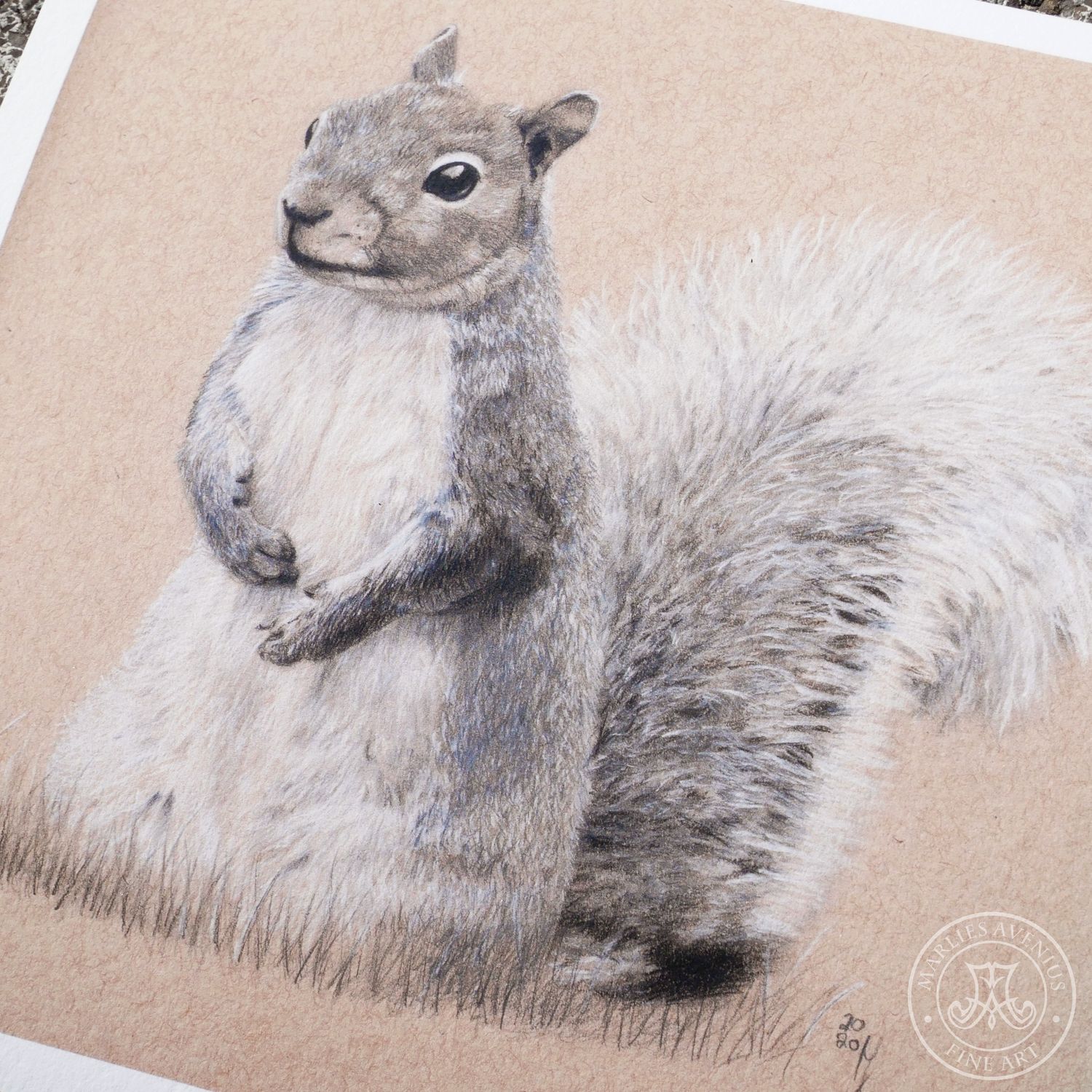 Giclée Print 20x20 cm „Eichhörnchen“