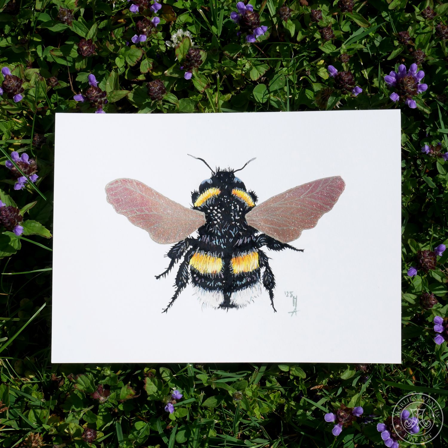Aquarell „Hummel“, 13x18cm | Original