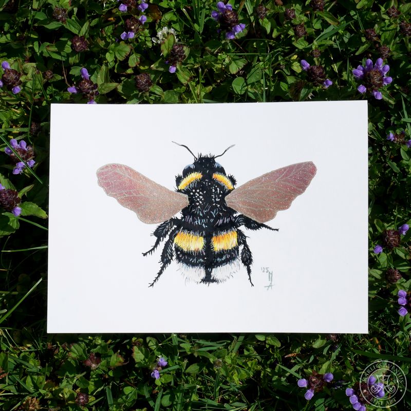 Watercolour Painting „Bumblebee“, 13x18cm | Original