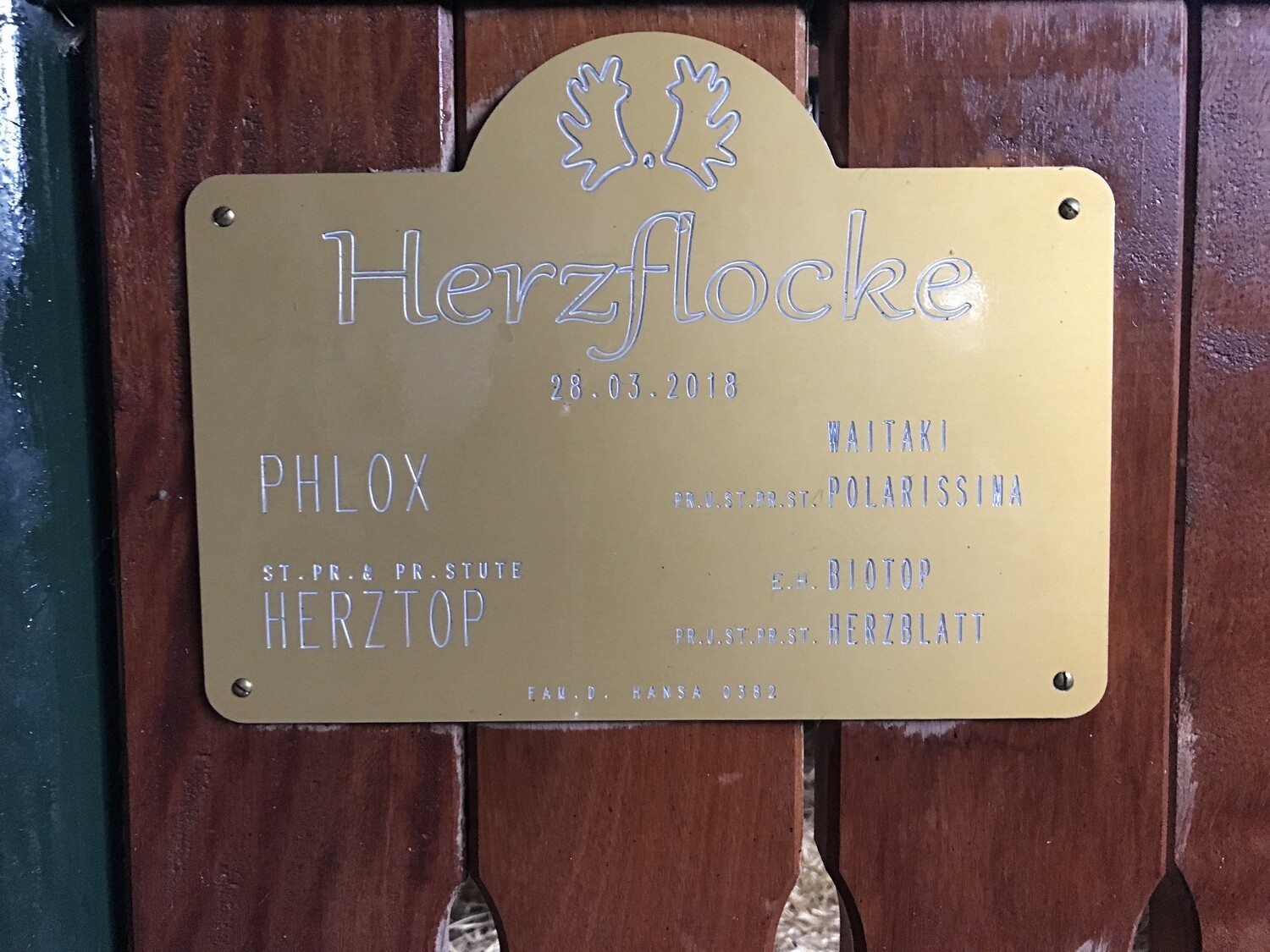 Boxenschild aus Messing 25x18cm