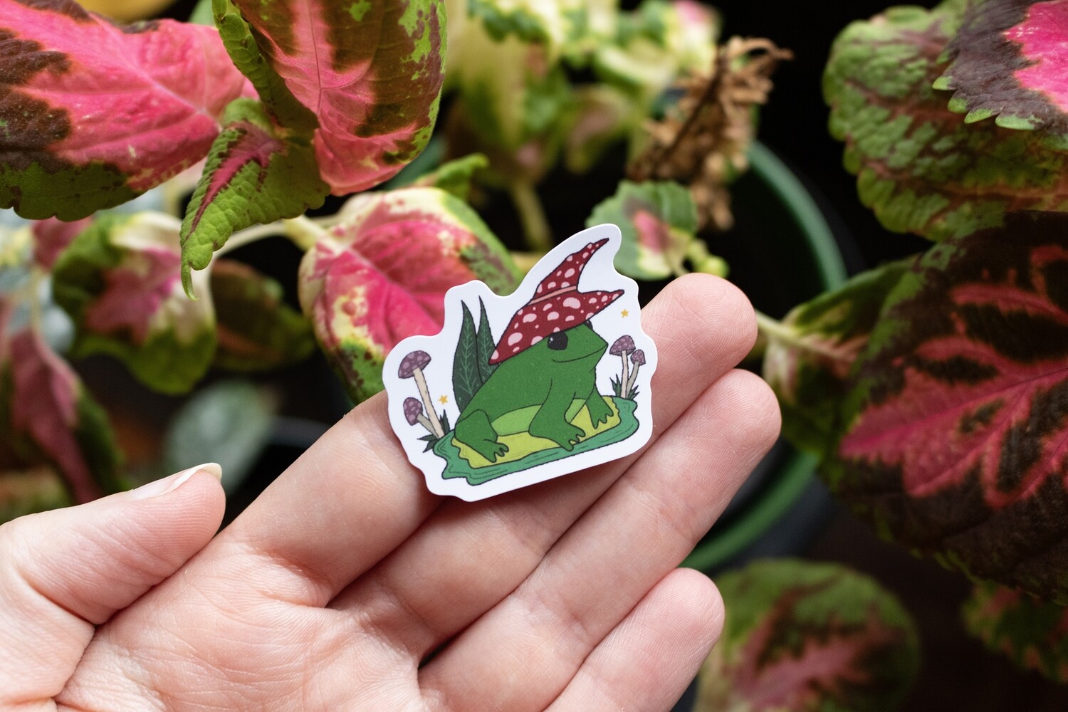 Frog Wizard Sticker