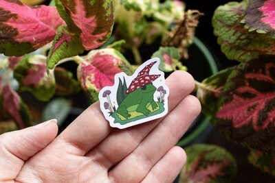 Frog Wizard Sticker