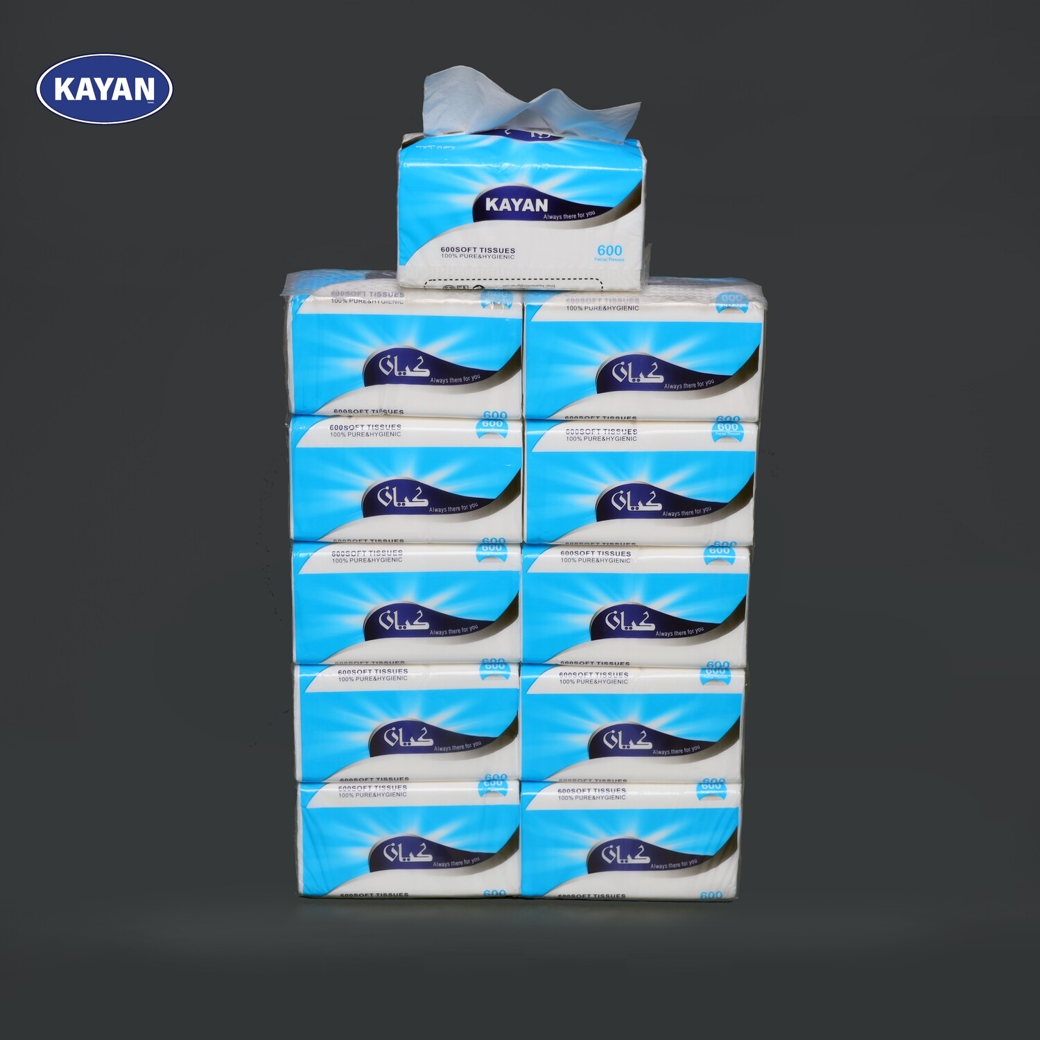 Facial Tissue 10 Pcs 600 Paper