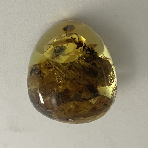 Bernstein B7 2,37 g