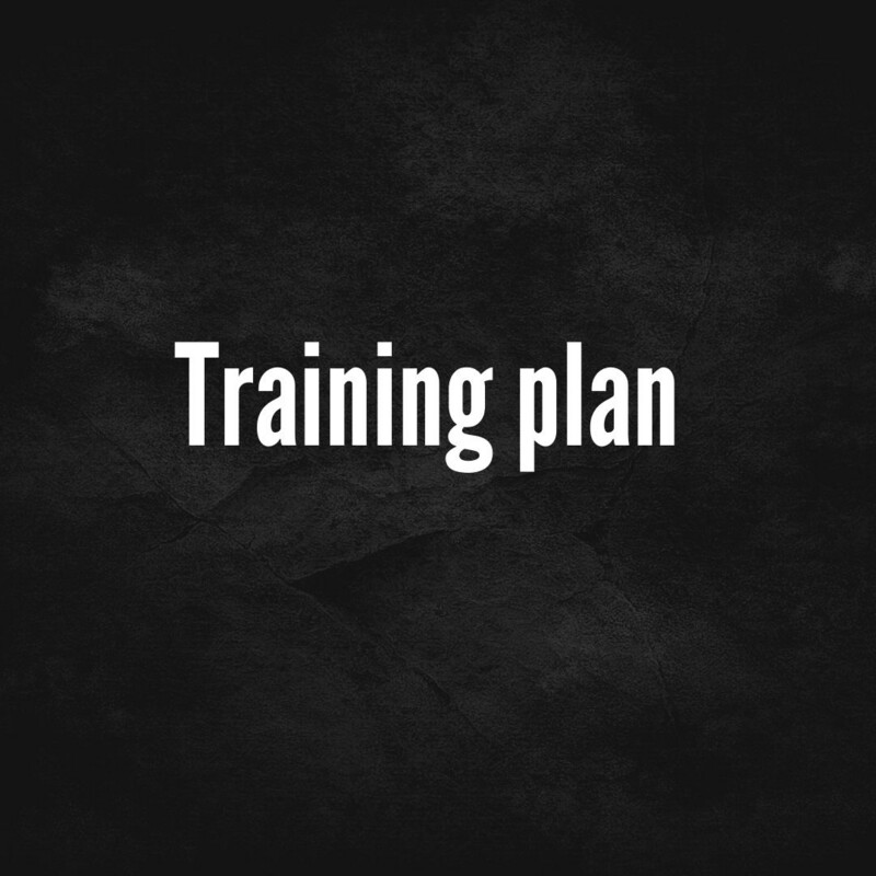 Programas de entrenamiento 