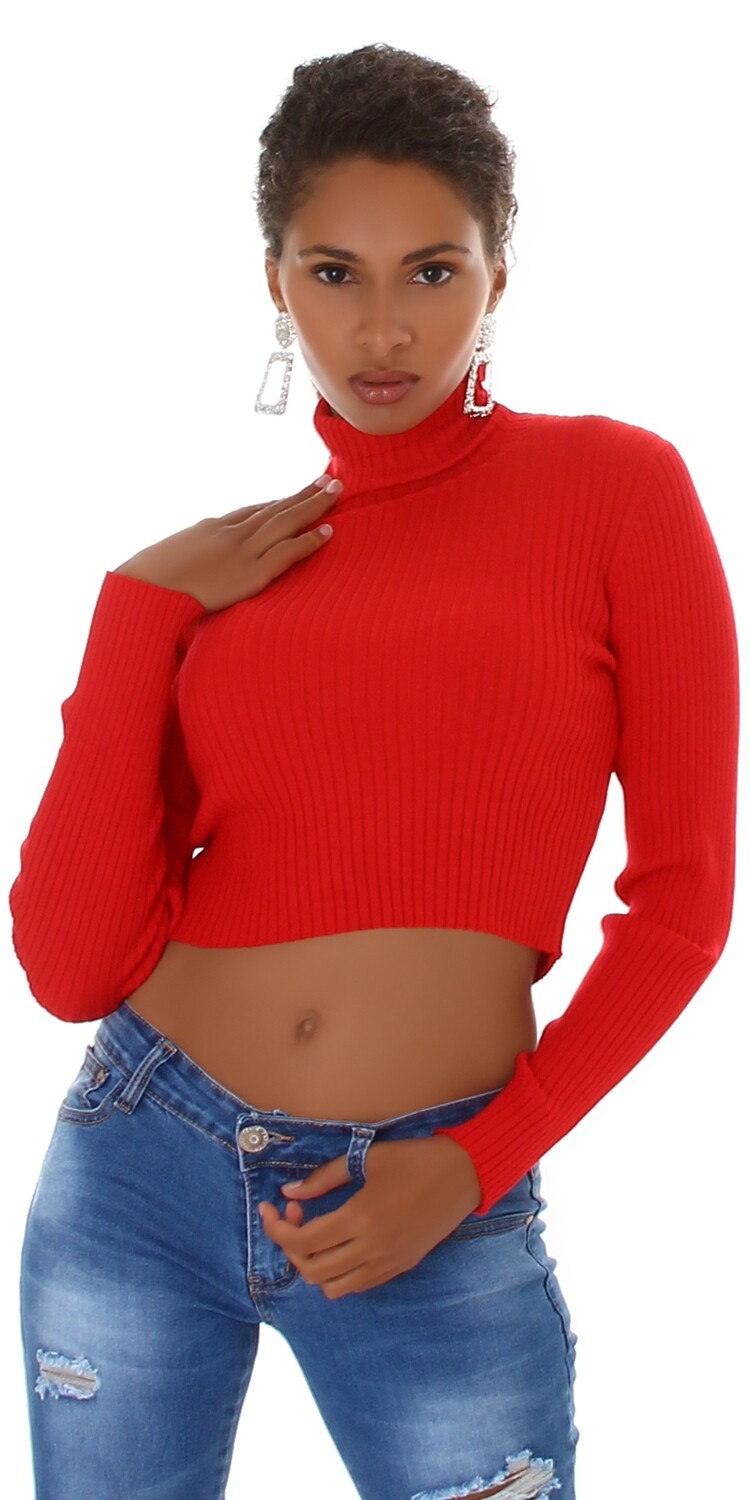 Sexy Crop Pullover Rollkragen