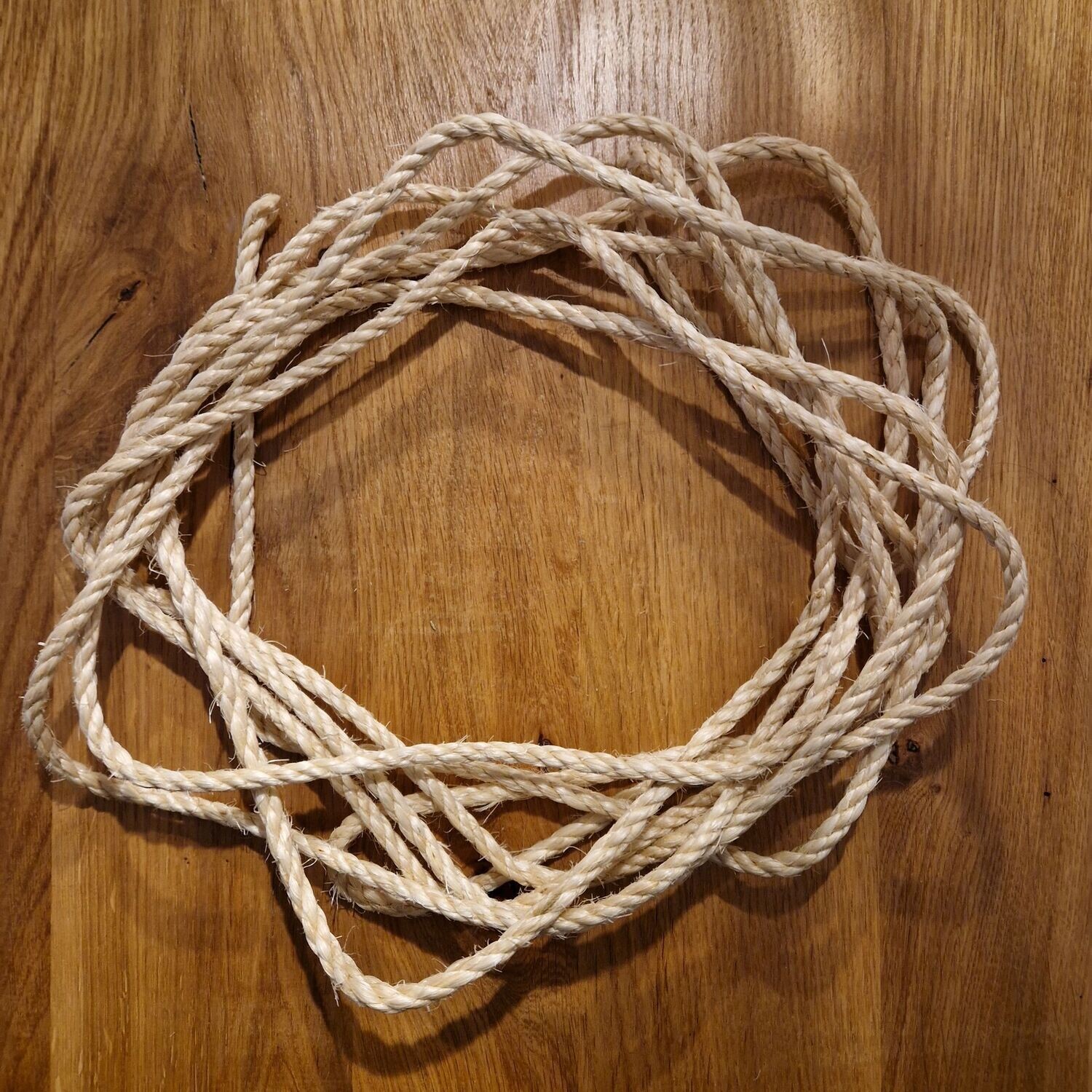 Sisalseil