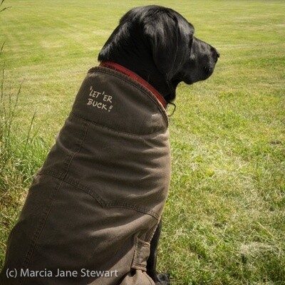 Pendleton Round-Up Outback Dog Coat