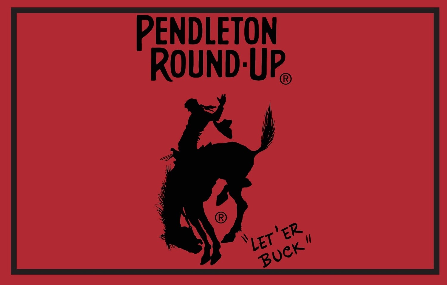 Pendleton Round-Up Rug, size: Small