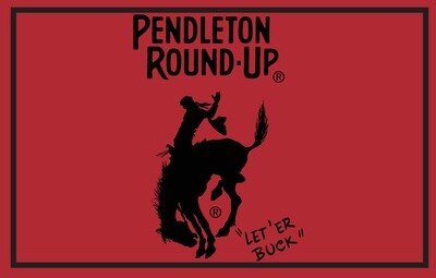 Pendleton Round-Up Rug
