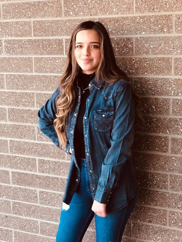 Ladies Wrangler Pendleton Round-Up Denim Long Sleeve Shirt