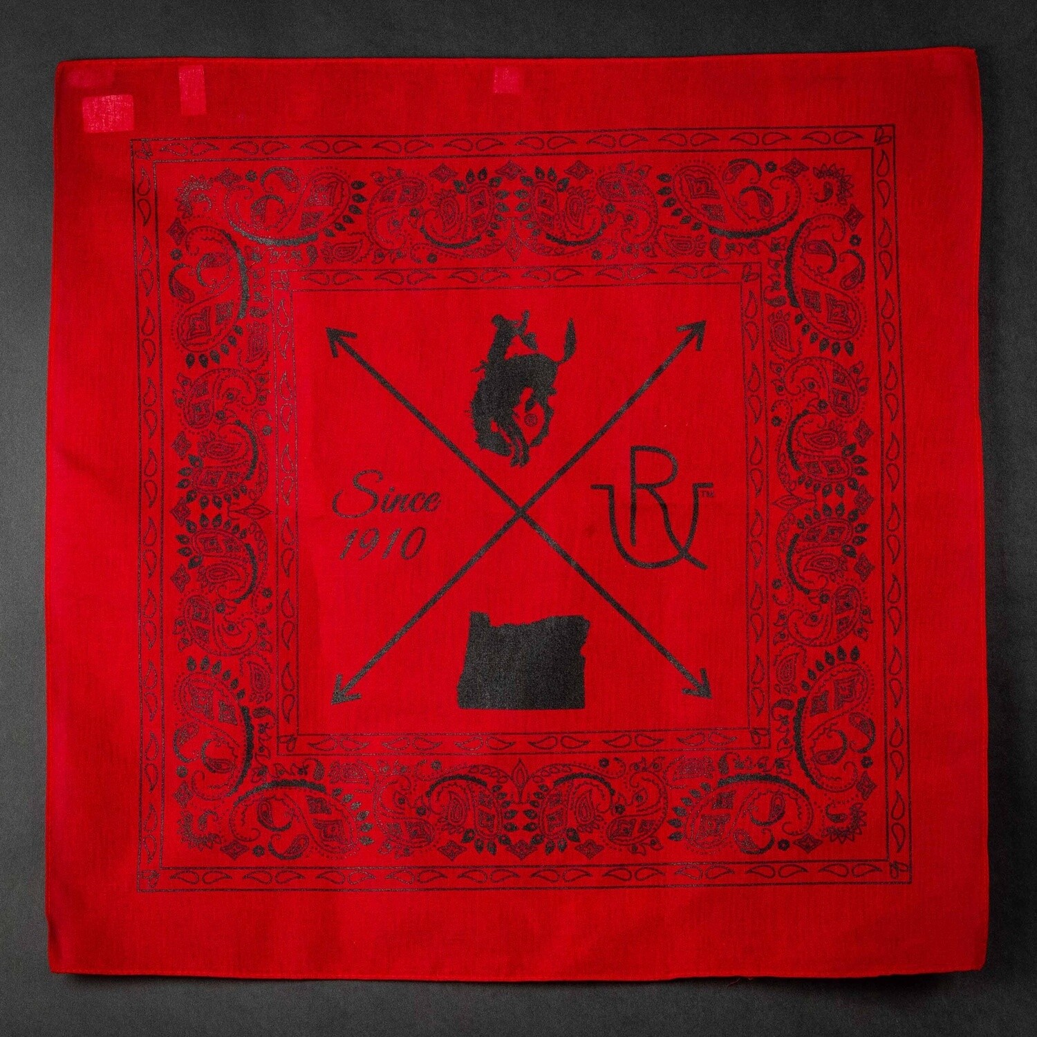 Pendleton Round-Up Arrow Bandana