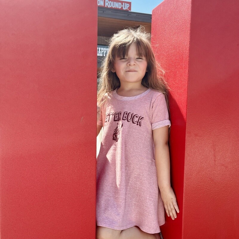 Toddler Pendleton Round-Up Zippel Dress