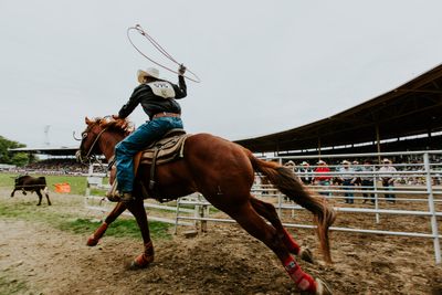 Western Brands