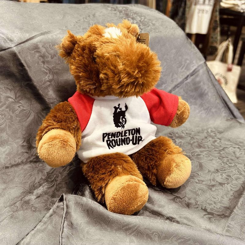 Pendleton Round-Up Sitting Pony w/ Tee Shirt