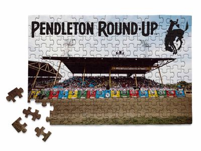 Pendleton Round-Up Chutes Micro Puzzle