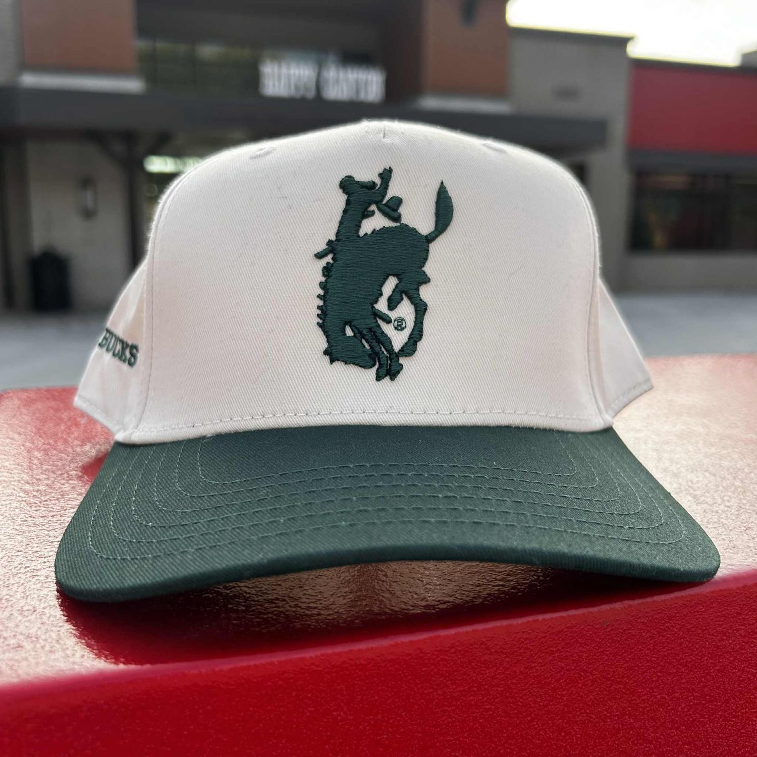 Pendleton Bucks Otto Hat