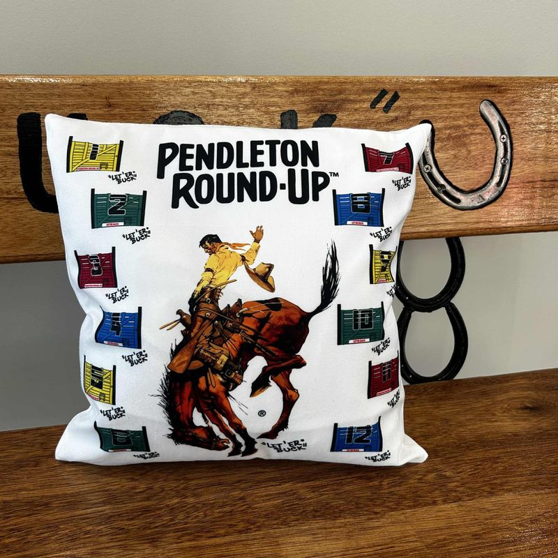 Pendleton Round-Up Chutes Pillow