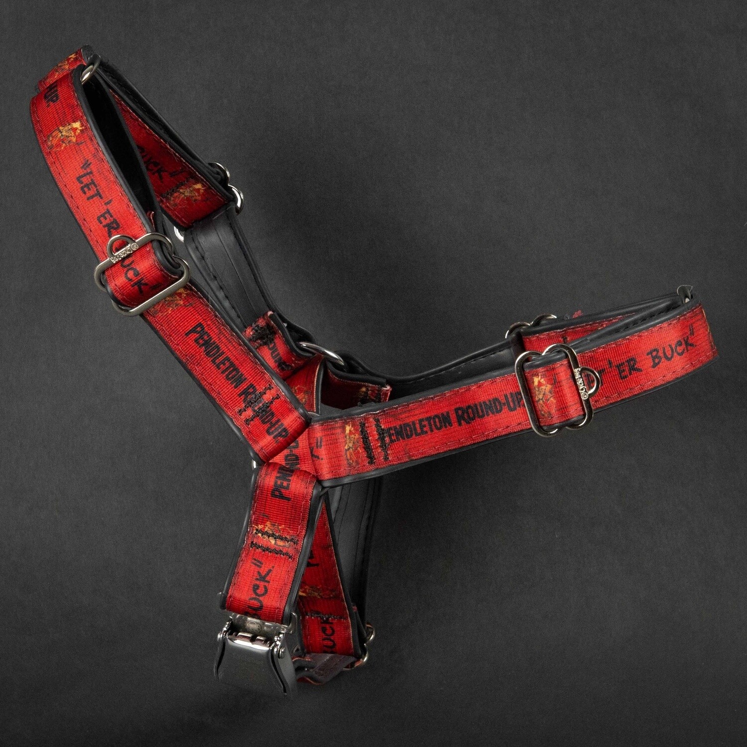 Pendleton Round-Up Cycle Dog Harness