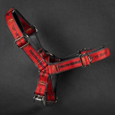 Pendleton Round-Up Cycle Dog Harness