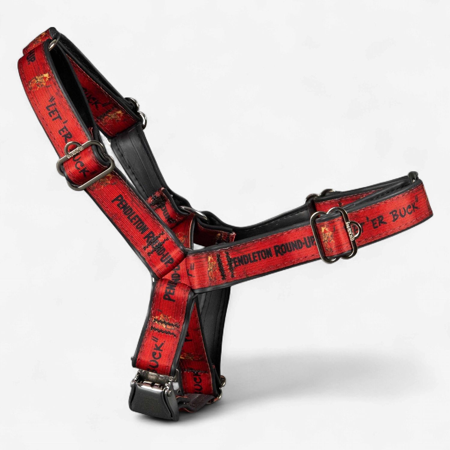 Pendleton Round-Up Cycle Dog Harness