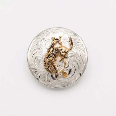 Pendleton Round-Up Montana Silversmiths Scarf Slide