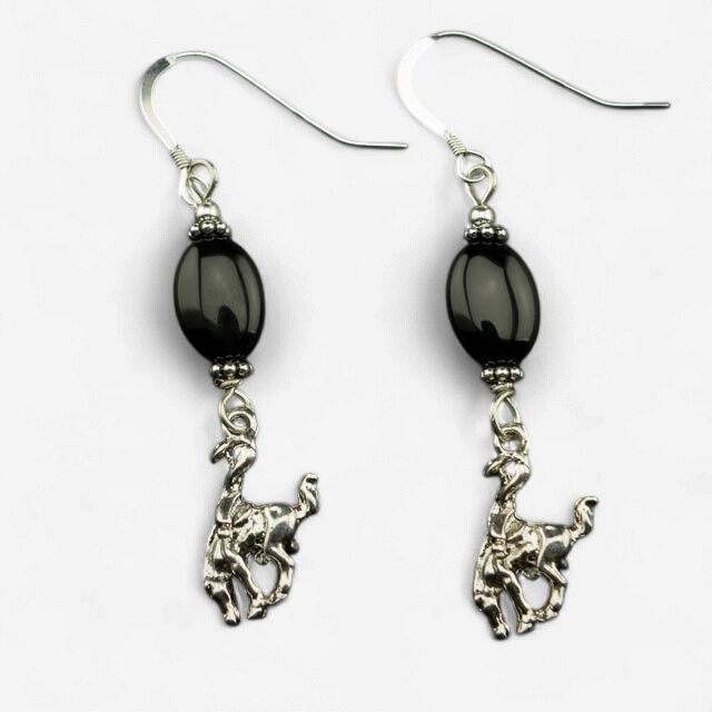Pendleton Round-Up Onyx Stones Earrings