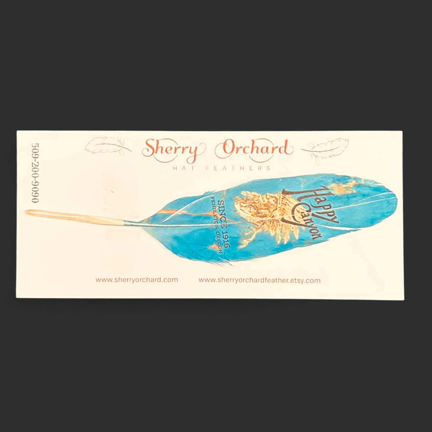 Happy Canyon Turquoise Hat Feather