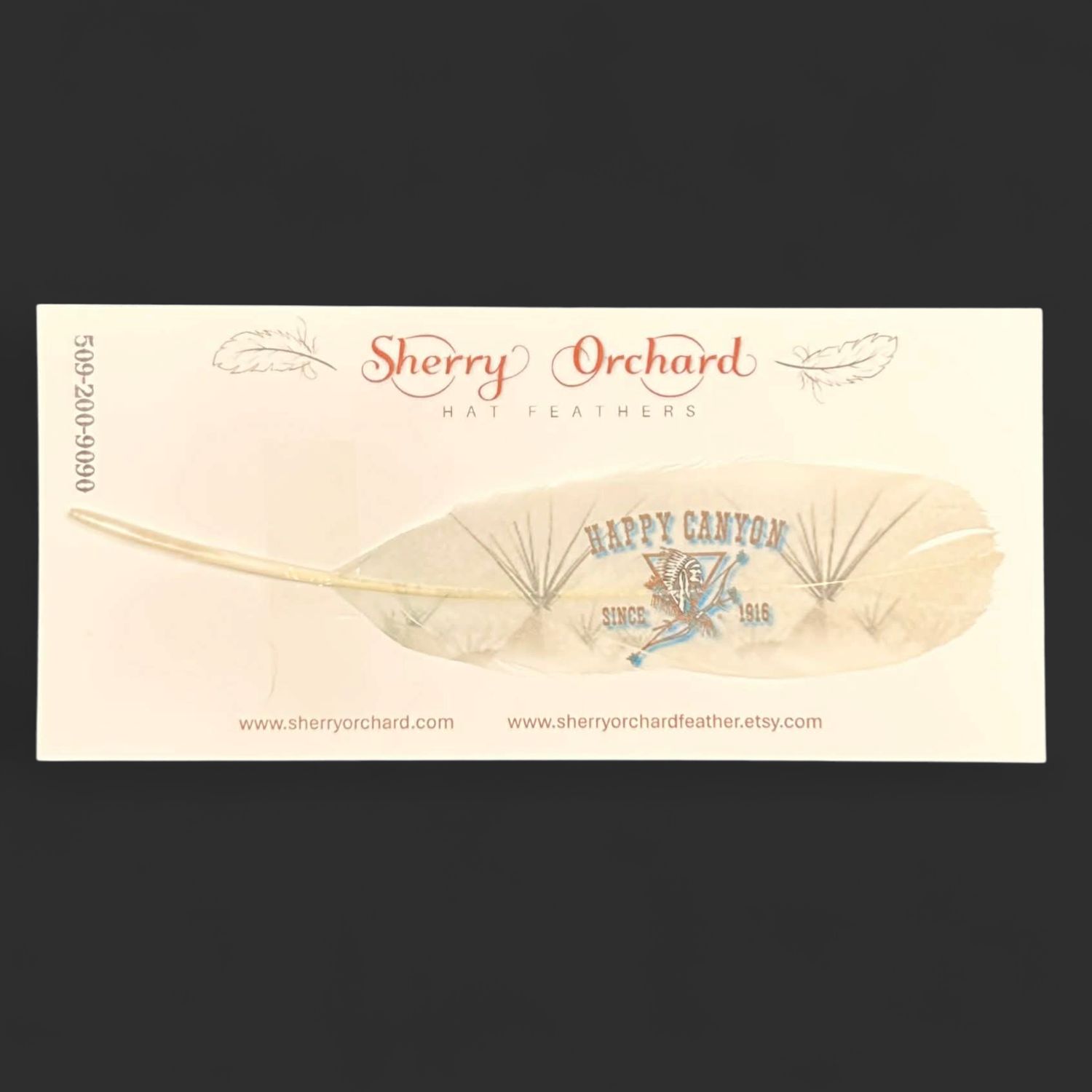 Happy Canyon Teepee Hat Feather