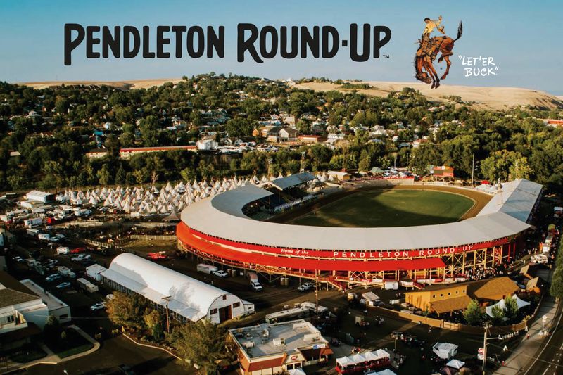 Pendleton Round-Up Arena Postcard