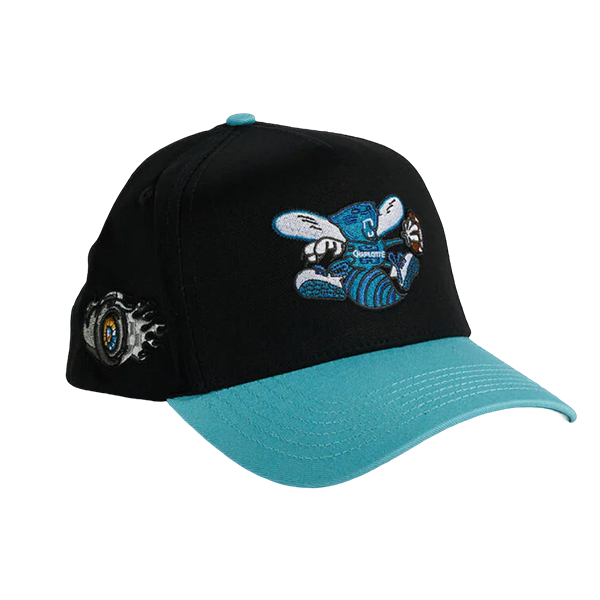 REFERENCE HORTHERS SNAPBACK