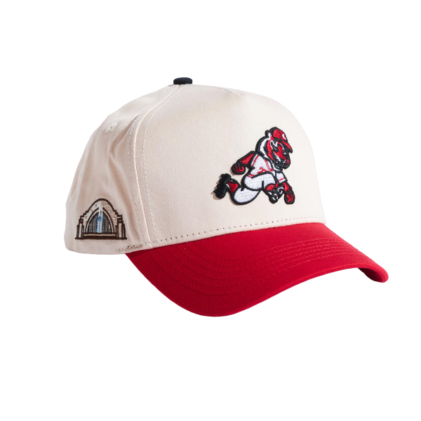 REFERENCE CINCY SNAPBACK