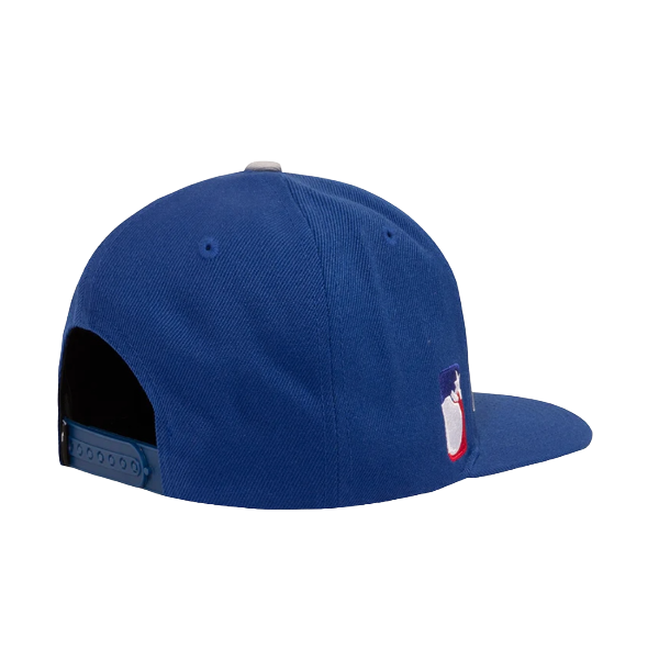Team Snapback