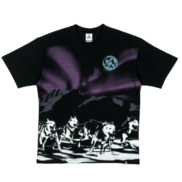 NIKE  ACG "NORTHERN LIGHTS" TEE FZ5279-010