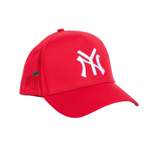 REFERENCE NY SNAPBACK