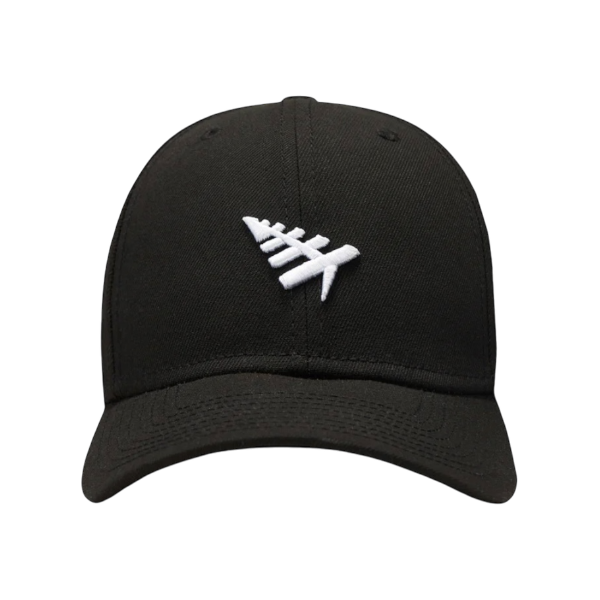 Icon II Dad Hat