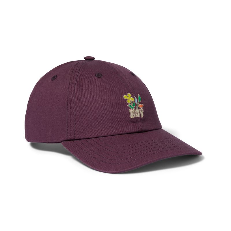 BLOOM SNAPBACK