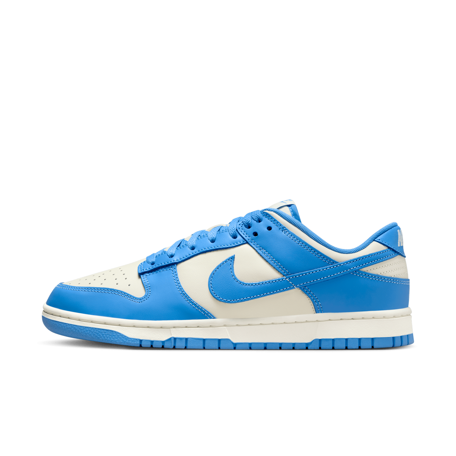 NIKE DUNK LOW RETRO DV0833-113