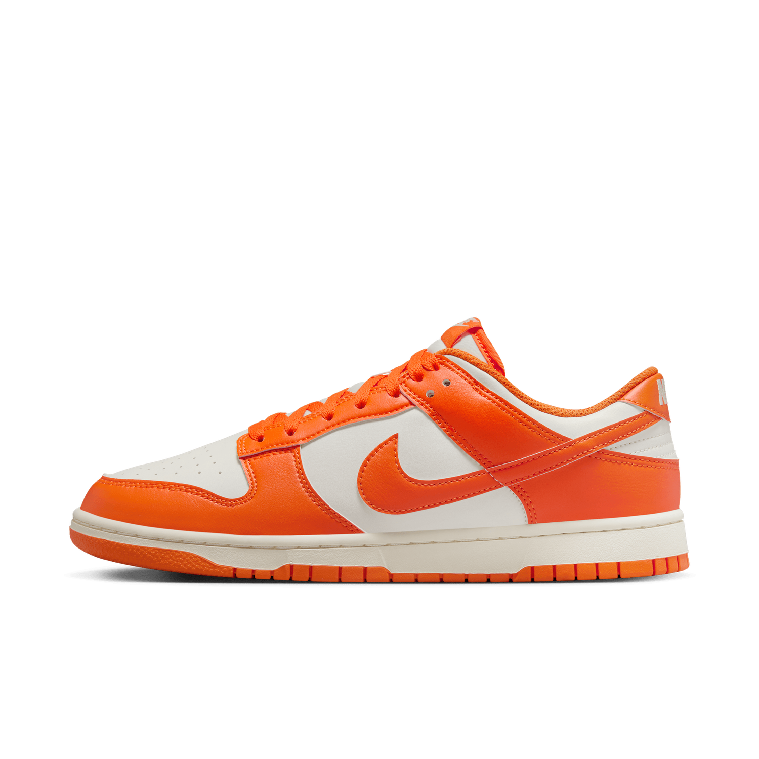 NIKE DUNK LOW RETRO HF5441-106