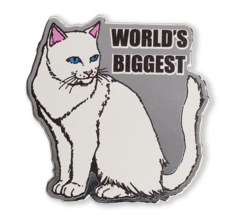 WORLD'S BIGGEST PIN (MULTI)