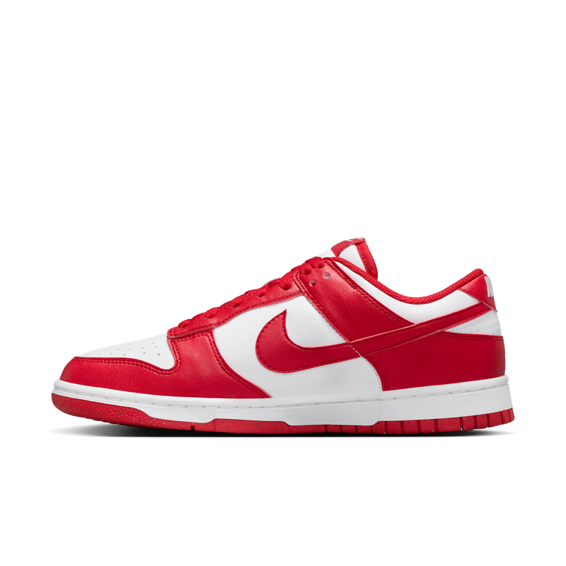 NIKE WMNS DUNK LOW NEXT NATURE DD1873-116