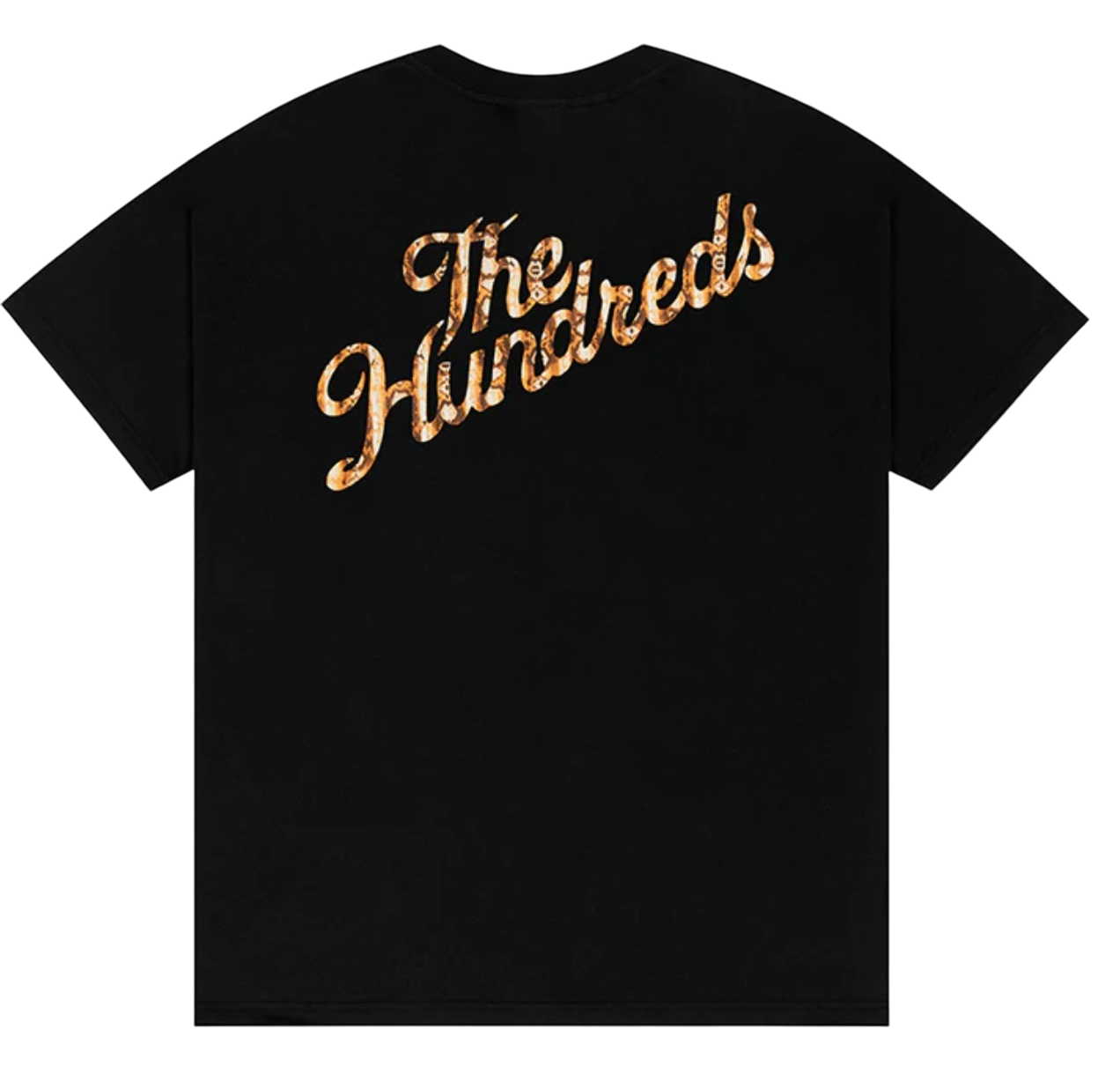 THE HUNDREDS SNAKE SLANT T-SHIRT