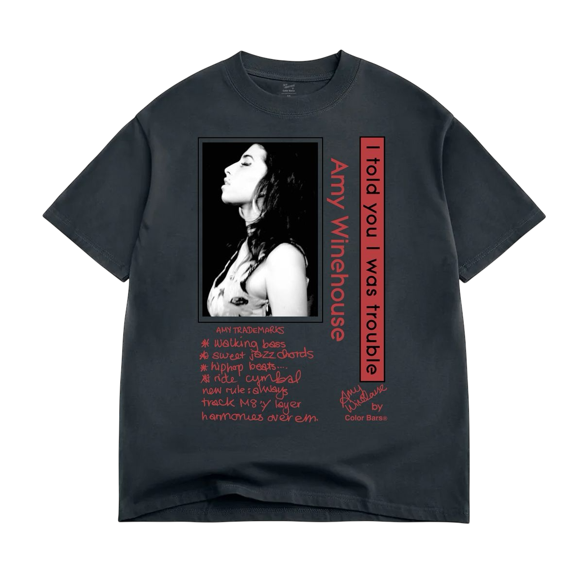 COLOR BARS TROUBLE TEE - VINTAGE BLACK