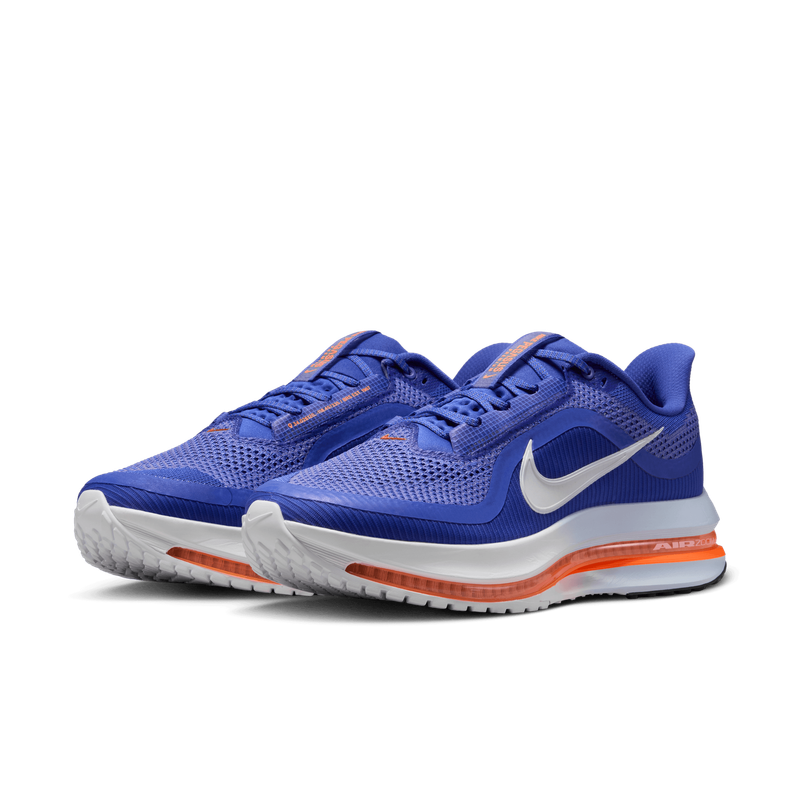 Nike Pegasus Premium HQ2592-400