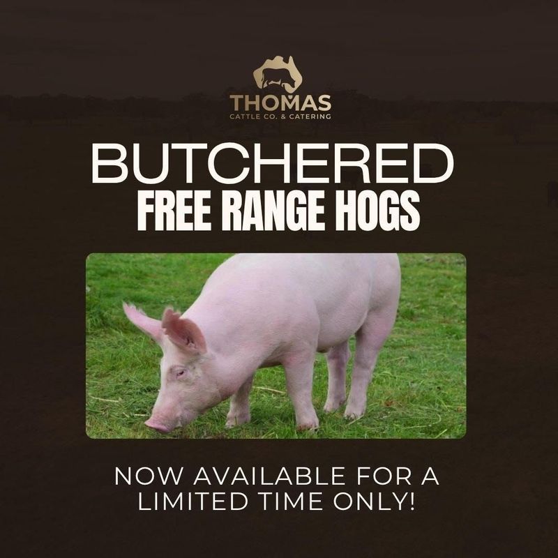 Whole butchered hog, farm-fresh pork cuts vacuum sealed, including bacon, pork chops, ribs, sausage, and ham — over 170lbs of