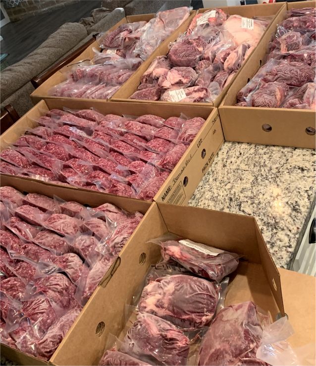 Freshly butchered steer hanging beef – ready for custom processing