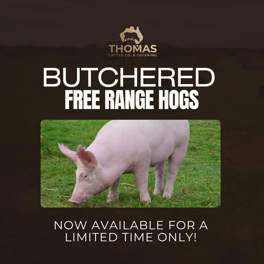 Whole butchered free range hog Whole butchered hog, farm-fresh pork cuts vacuum sealed, including bacon, pork chops, ribs, sausage, and ham — over 170lbs of