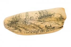 Reproduction Scrimshaw